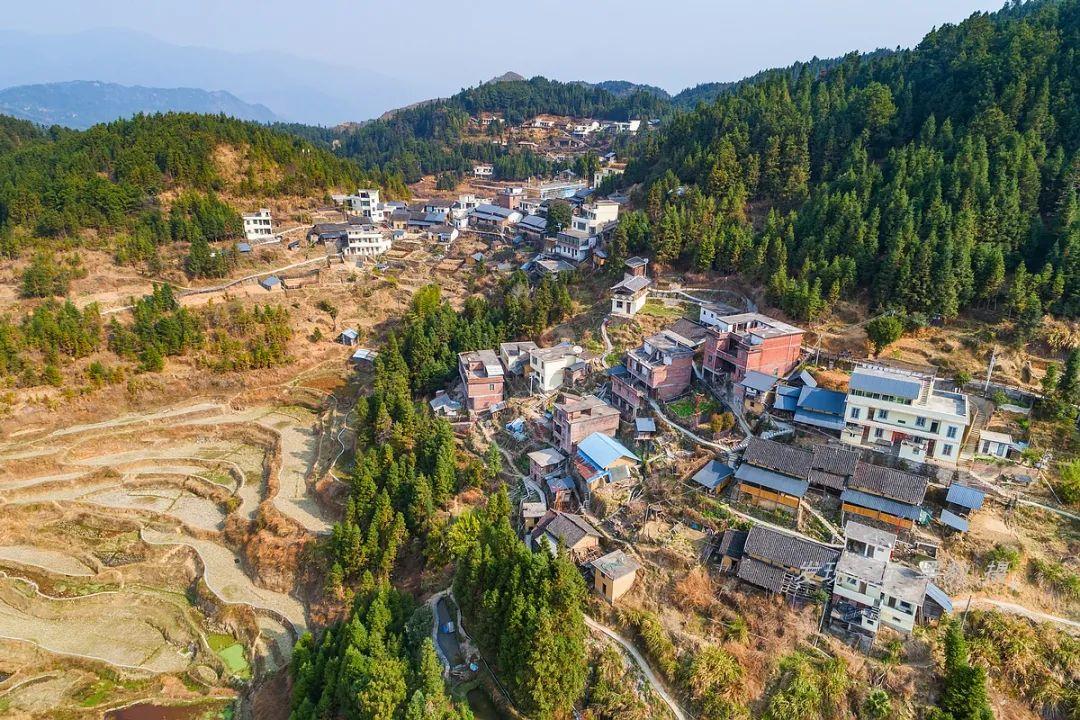 广东省基本农田建设的现状与发展策略