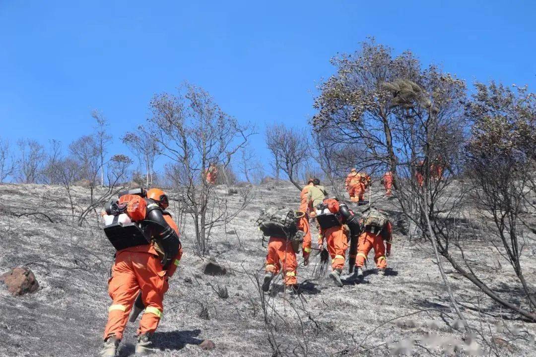 广东省揭阳市发生山火事件，挑战与应对措施