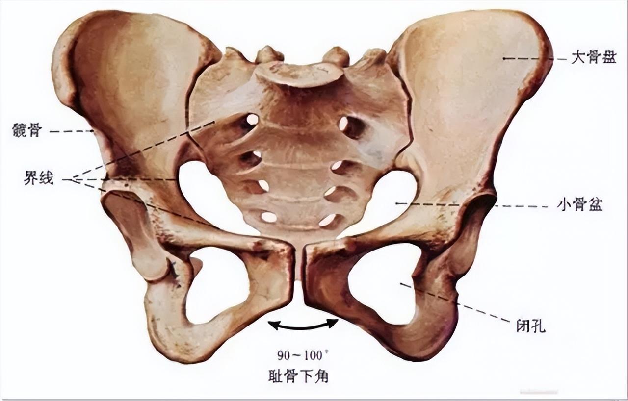 早产儿五个月发育标准详解