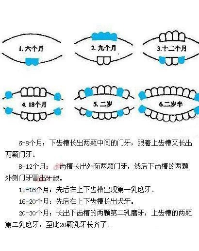 小孩六个月长牙正常吗？解读婴幼儿牙齿生长规律