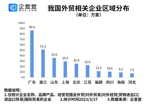 广东身外贸有限公司，历史、现状与未来展望