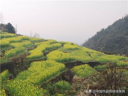 广东阡陌景观有限公司，塑造自然之美的行业典范