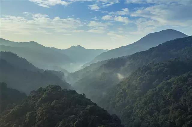 广东省暑假教育机构概览