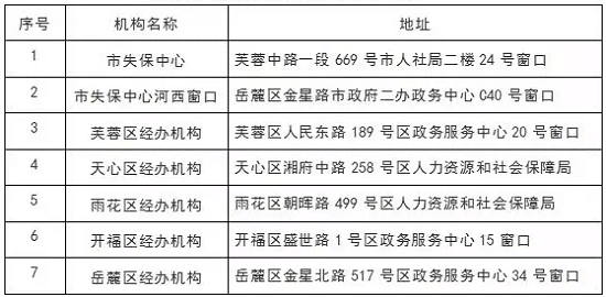 失业金可以领取几个月，深度解析失业保障制度及其运行机制